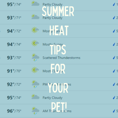 Lick Summer Heat Away!